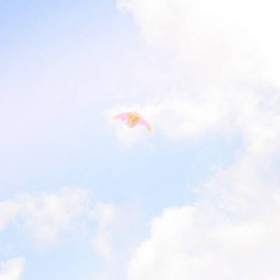 贪吃蛇大作战穿墙版无敌版下载